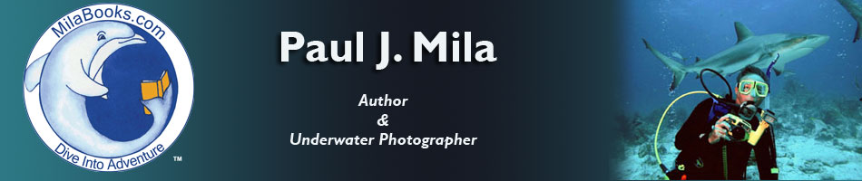 Paul J Mila Books