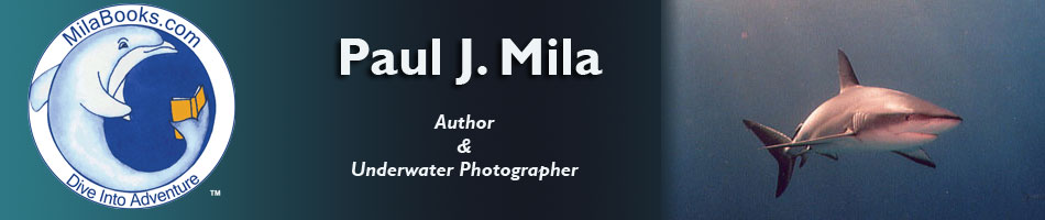 paul j mila - dangerous waters